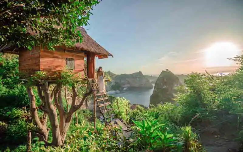 tree house molenteng tree house molenteng